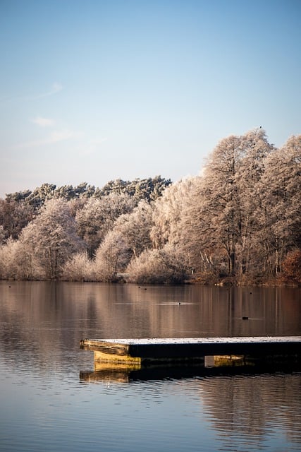 Scarica gratuitamente l'immagine gratuita di alberi di lago invernale e paesaggio innevato da modificare con l'editor di immagini online gratuito GIMP