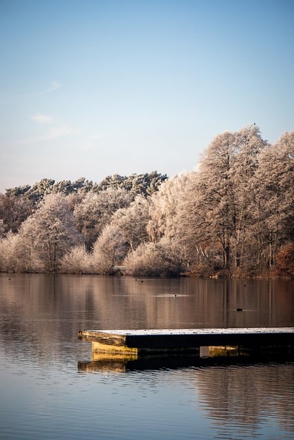 Free download winter lake trees snow landscape free picture to be edited with GIMP free online image editor