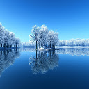 Template Photo Winter Landscape -  for OffiDocs