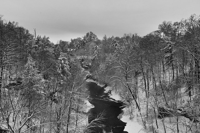 Bezpłatne pobieranie Winter Landscape Snow Day - bezpłatne zdjęcie lub obraz do edycji za pomocą internetowego edytora obrazów GIMP