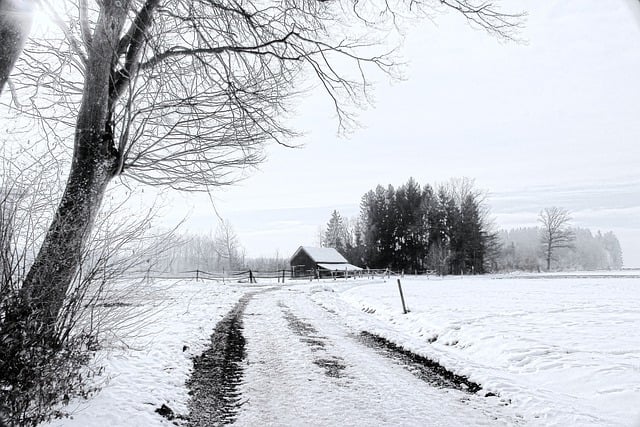 Free download winter landscape snow frost free picture to be edited with GIMP free online image editor
