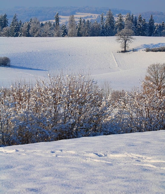 Free graphic winter landscape snow landscape to be edited by GIMP free image editor by OffiDocs