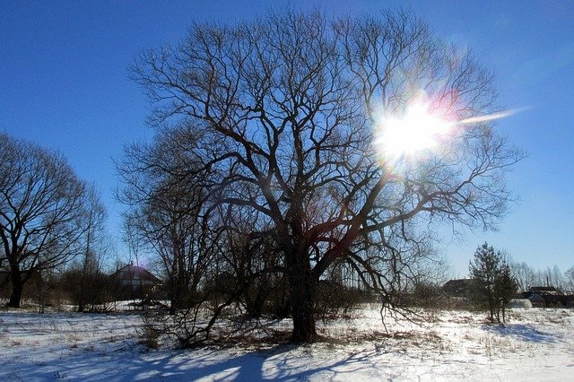 Download gratuito Winter Landscape Sun - foto o immagine gratuita da modificare con l'editor di immagini online di GIMP