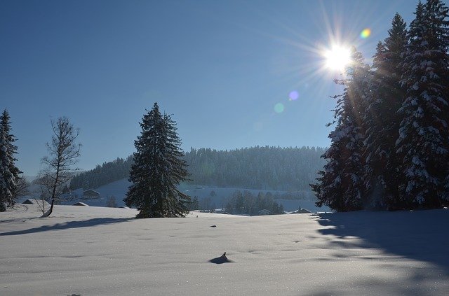 겨울 풍경 나무 무료 다운로드 - 무료 무료 사진 또는 김프 온라인 이미지 편집기로 편집할 수 있는 사진