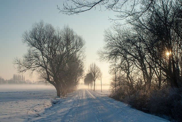 Free download Winter Morning Fog -  free photo or picture to be edited with GIMP online image editor