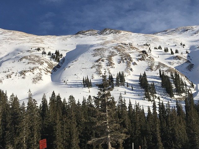 Descarga gratuita Winter Mountains Evergreen: foto o imagen gratuita para editar con el editor de imágenes en línea GIMP