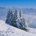 WINTER MOUNTAINS Theme  screen for extension Chrome web store in OffiDocs Chromium