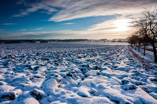 Free download winter nature season snow outdoors free picture to be edited with GIMP free online image editor