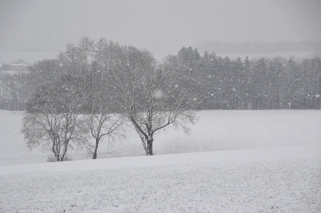 Free download Winter Nature Snow free photo template to be edited with GIMP online image editor