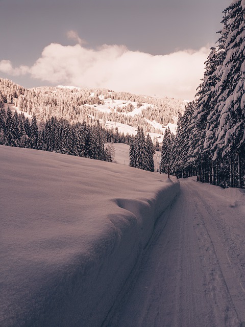 Free download winter nature travel exploration free picture to be edited with GIMP free online image editor