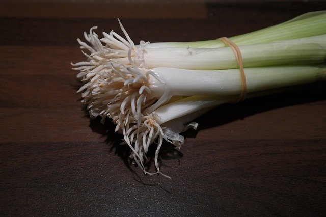 Free download winter onion leek root stalk free picture to be edited with GIMP free online image editor