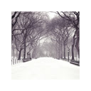 Winter Park  screen for extension Chrome web store in OffiDocs Chromium