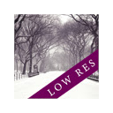 Winter Park Low Resolution  screen for extension Chrome web store in OffiDocs Chromium