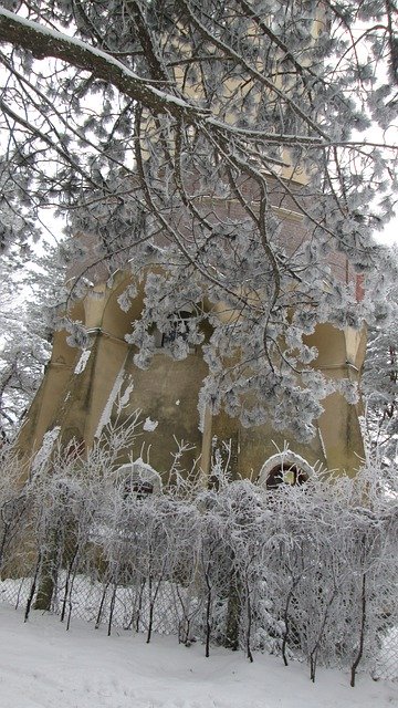 Sjabloonfoto Winterparkboom - voor OffiDocs