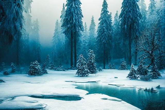 Free download winter river trees landscape snow free picture to be edited with GIMP free online image editor