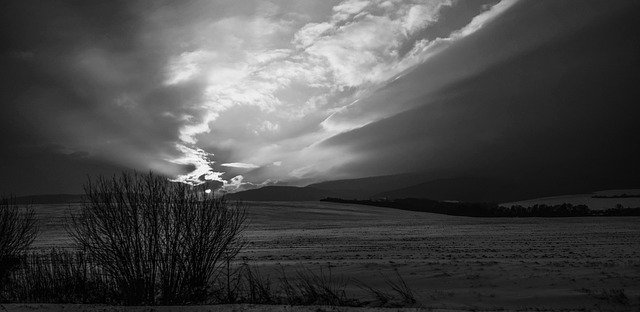 Free download Winter Shrubs Field The -  free photo or picture to be edited with GIMP online image editor