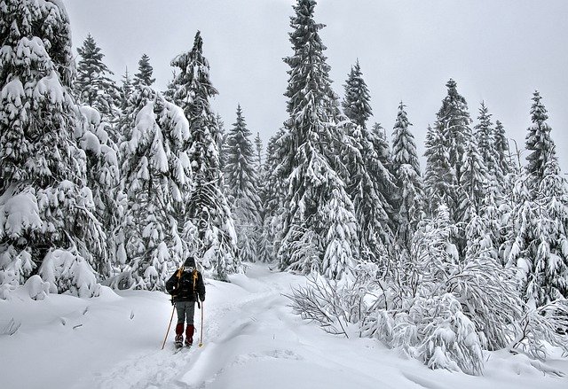Download gratuito Turismo invernale sugli sci: foto o foto gratuite da modificare con l'editor di immagini online di GIMP