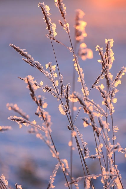 Free download winter snow cold winter landscape free picture to be edited with GIMP free online image editor