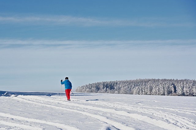 Free download winter snow cross country skiing free picture to be edited with GIMP free online image editor