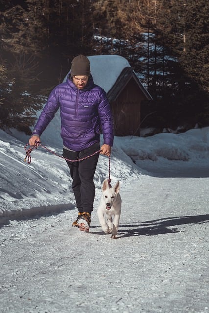 Gratis download wintersneeuw hond huisdier liefde gelukkig gratis foto om te bewerken met GIMP gratis online afbeeldingseditor