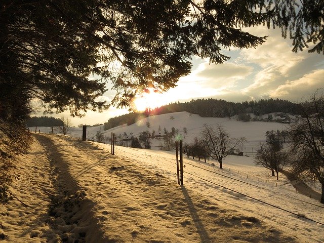 تنزيل Winter Snow Edge Of The Woods مجانًا - صورة مجانية أو صورة مجانية ليتم تحريرها باستخدام محرر الصور عبر الإنترنت GIMP