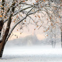 Winter snowfall  screen for extension Chrome web store in OffiDocs Chromium