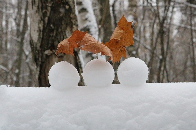 Бесплатно скачайте бесплатный шаблон фотографии Winter Snow Frost для редактирования с помощью онлайн-редактора изображений GIMP