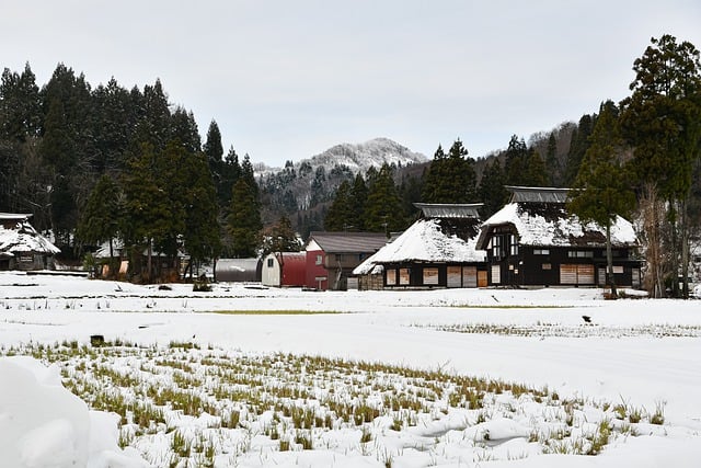 Free download winter snow houses village rural free picture to be edited with GIMP free online image editor