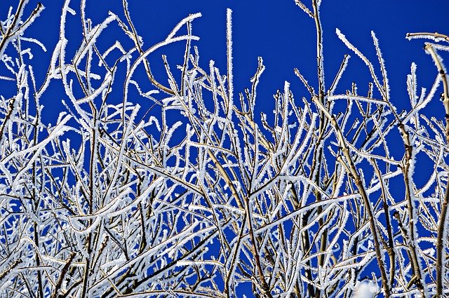 הורדה חינם של Winter Snow Landscape תבנית תמונה בחינם לעריכה עם עורך התמונות המקוון GIMP