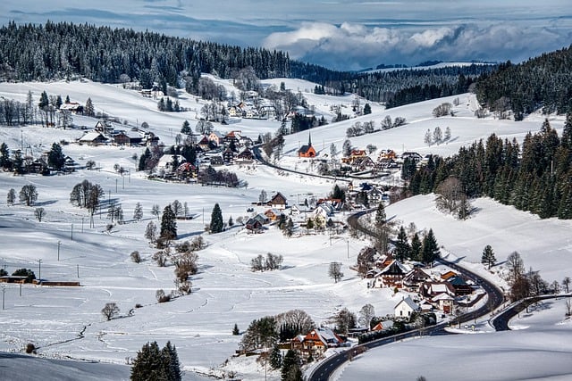 Free download winter snow landscape black forest free picture to be edited with GIMP free online image editor