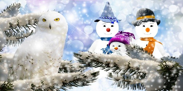 Free download winter snowman owl nature bird free picture to be edited with GIMP free online image editor