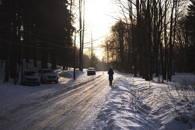 Free download winter snow road park russia free picture to be edited with GIMP free online image editor