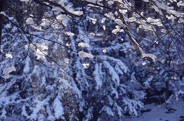 Téléchargement gratuit d'une image gratuite de la saison des flocons de neige de la neige d'hiver à modifier avec l'éditeur d'images en ligne gratuit GIMP