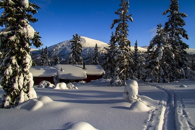تنزيل Winter Snow Storkletten مجانًا - صورة أو صورة مجانية ليتم تحريرها باستخدام محرر الصور عبر الإنترنت GIMP