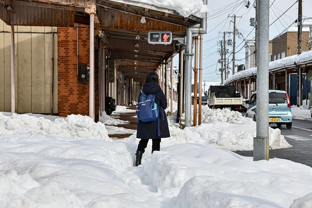 Free download winter snow street woman city free picture to be edited with GIMP free online image editor