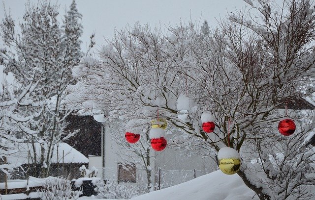 Descarga gratuita Winter Snow Tree: foto o imagen gratuita para editar con el editor de imágenes en línea GIMP