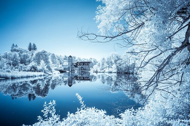 Free download winter snow water reflection free picture to be edited with GIMP free online image editor