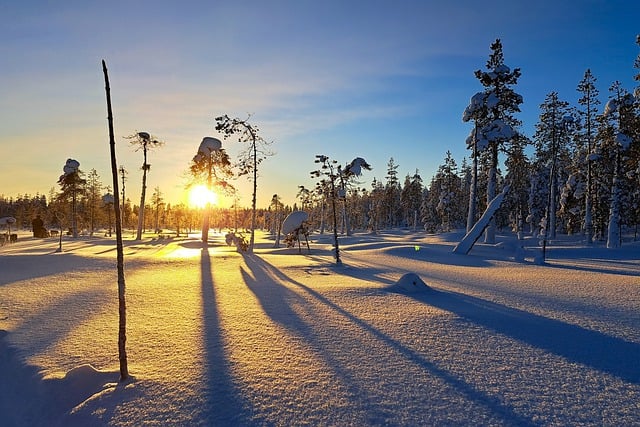 免费下载冬季日落树木雪自然免费图片可使用 GIMP 免费在线图像编辑器进行编辑