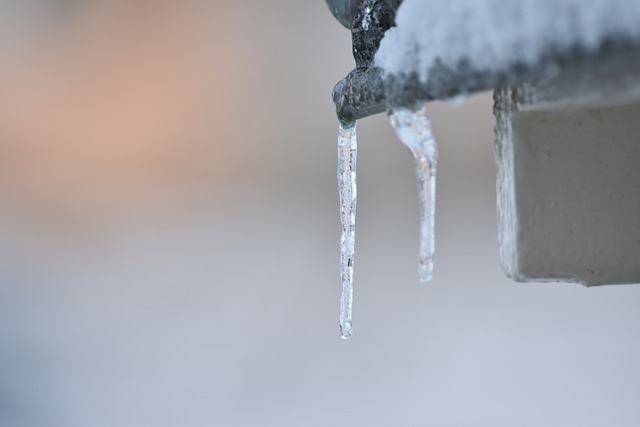 Free download winter switzerland frost icicles free picture to be edited with GIMP free online image editor