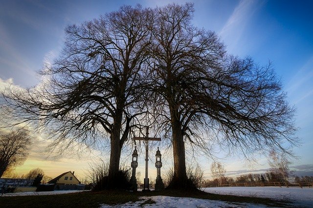 Free download Winter Tree Landscape -  free photo or picture to be edited with GIMP online image editor