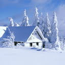 Winter Wallpaper  screen for extension Chrome web store in OffiDocs Chromium