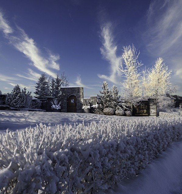 Gratis download Winter White Snow Cold - gratis gratis foto of afbeelding om te bewerken met GIMP online afbeeldingseditor