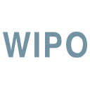 wipo助手  screen for extension Chrome web store in OffiDocs Chromium