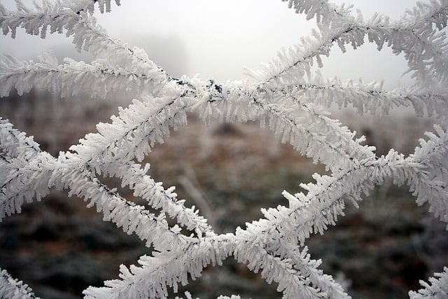 Free download wire mesh wire fence icy free picture to be edited with GIMP free online image editor