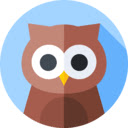 Wise Owl  screen for extension Chrome web store in OffiDocs Chromium