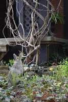 Free download Witching Power - HWOS 01 012 free photo or picture to be edited with GIMP online image editor