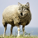Wolf faced sheep  screen for extension Chrome web store in OffiDocs Chromium