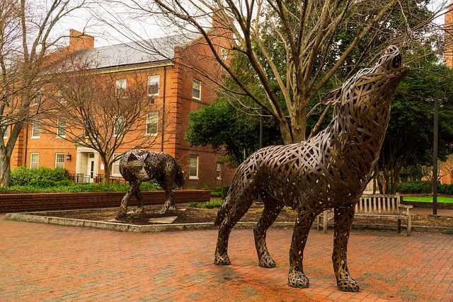 Free download wolf pack nc state wolf pack free picture to be edited with GIMP free online image editor