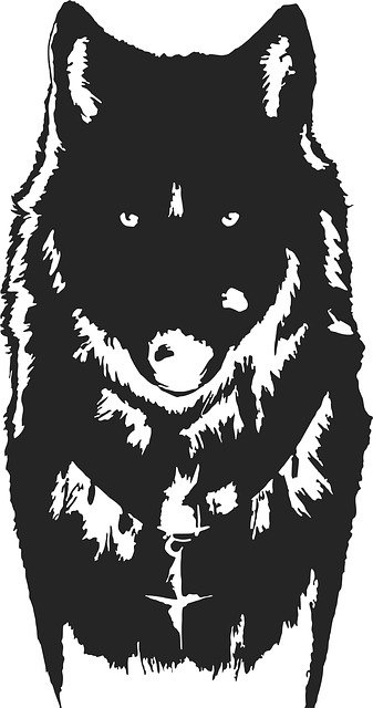 Free download Wolf Predator Carnivorous Canis -  free illustration to be edited with GIMP free online image editor