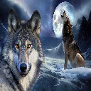 Wolfs Theme  screen for extension Chrome web store in OffiDocs Chromium